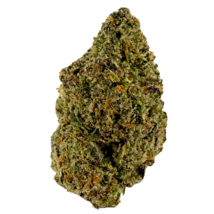 Alaskan TF Flower