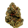 Cheetah Piss thca flower bud