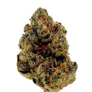 Cheetah Piss thca flower bud