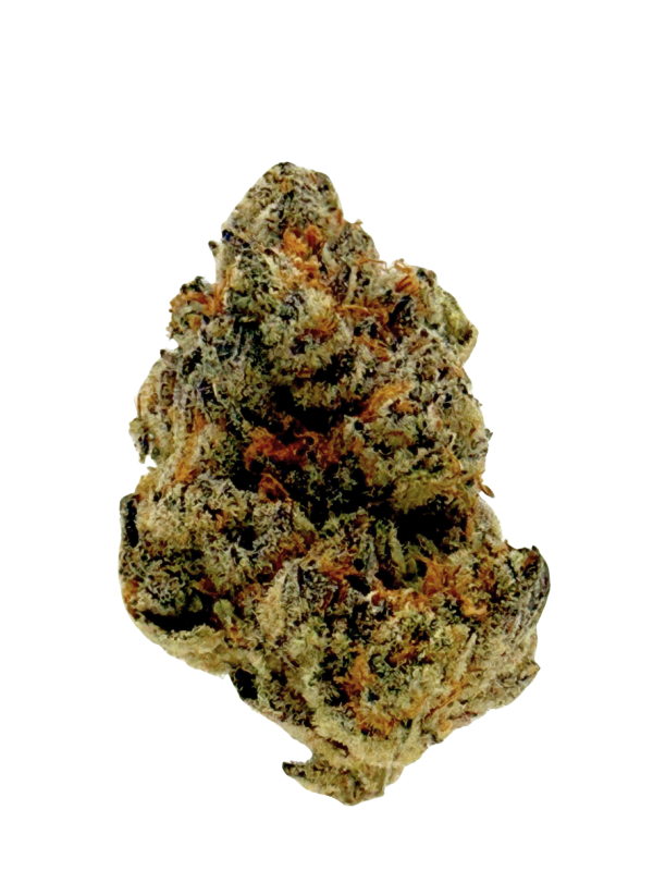 Cheetah Piss thca flower bud