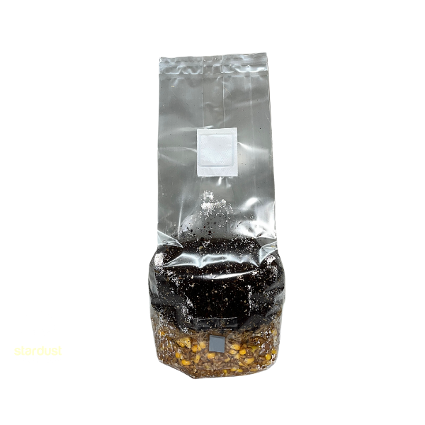 Blue Caterpillar All-in-One Mushroom Grow Bag with sterilized substrate and injection port before fruiting.