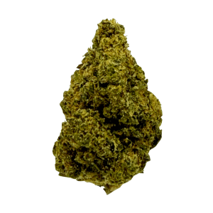 Key Lime Jack THCA Flower bud
