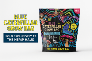 How to Grow Mushrooms with a Blue Caterpillar Grow Bag