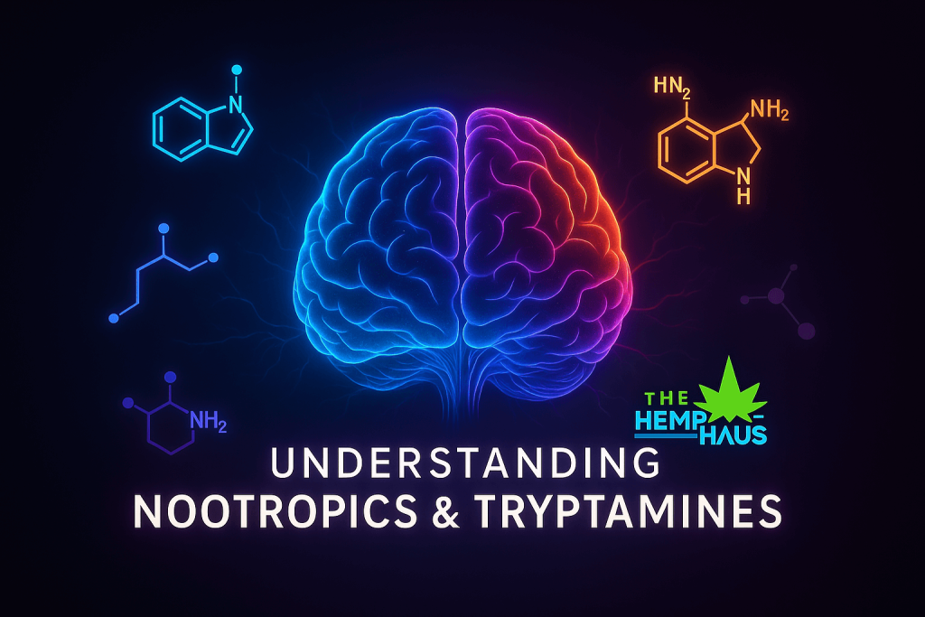 Understanding Nootropics & Tryptamines
