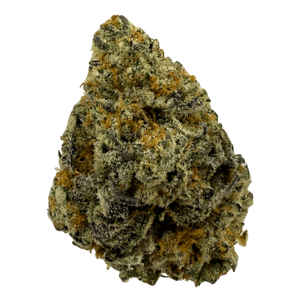 Close-up of Oreoz THCA flower bud featuring dense trichomes, dark purple hues, and vibrant orange pistils with a frosty, cookie-like texture.